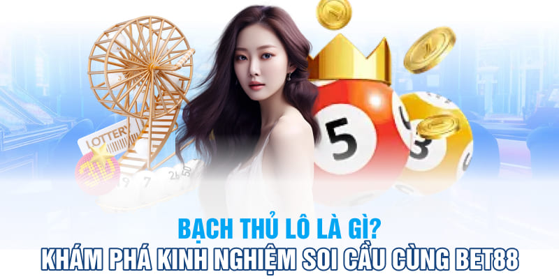 Bạch thủ lô là gì?