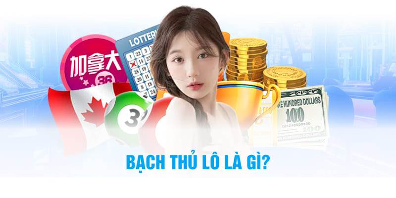 Bạch thủ lô là gì?