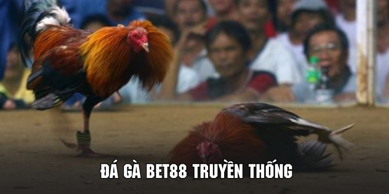 Tham gia đá gà BET88 truyền thống siêu hấp dẫn và lôi cuốn